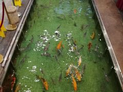 -金河半岛园林酒家(金融城店)