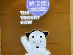-一只酸奶牛(双流万达广场店)
