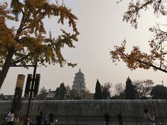 -大雁塔北广场音乐喷泉