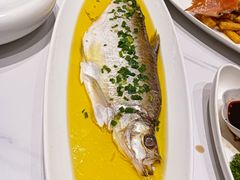 清蒸白条-徐復昌酒楼·东台老字号(东台店)