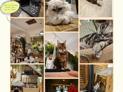 -小时光咖啡馆(北锣鼓巷店)