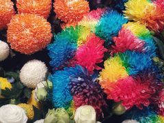 -双季花艺园艺市场(浦东店)