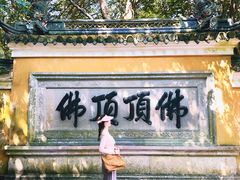 -普陀山慧济禅寺