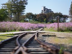 -歌斐颂巧克力小镇