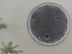 -ONE·男士国潮·美式渐变·理发馆·BARBER SHOP