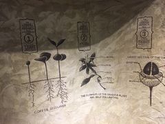 -星巴克臻选(湖滨道店)