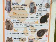 -小时光咖啡馆(北锣鼓巷店)