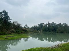 -桤木河湿地公园