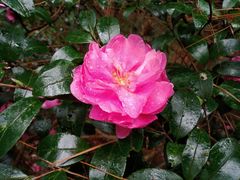 -溪口-滕头旅游景区