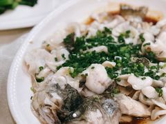 葱油淋鲈鱼-汇兴源餐馆(小北路店)