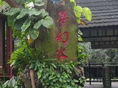 -呀诺达热带雨林