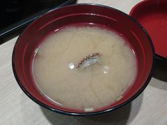 -大起水产回转寿司(道顿堀店)