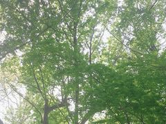 -杭州植物园