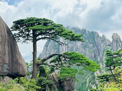 -黄山风景区