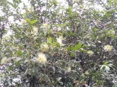 -晓港公园
