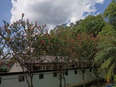 -广州神农草堂中医药博物馆