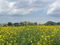 -径山花海