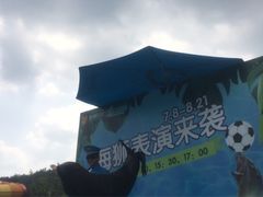 -苏州乐园森林水世界