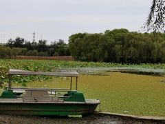 -东郊湿地公园