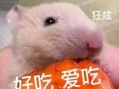 -馬伍旺川菜(江北虹悦城店)