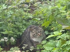 -洛阳白云山景区