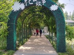 -杭州湾海上花田景区