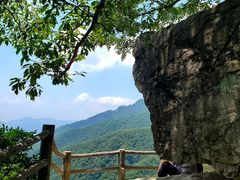 -牛背梁国家森林公园