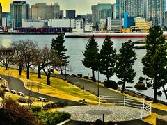 -台场海滨公园船码头
