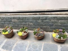 -寂照庵