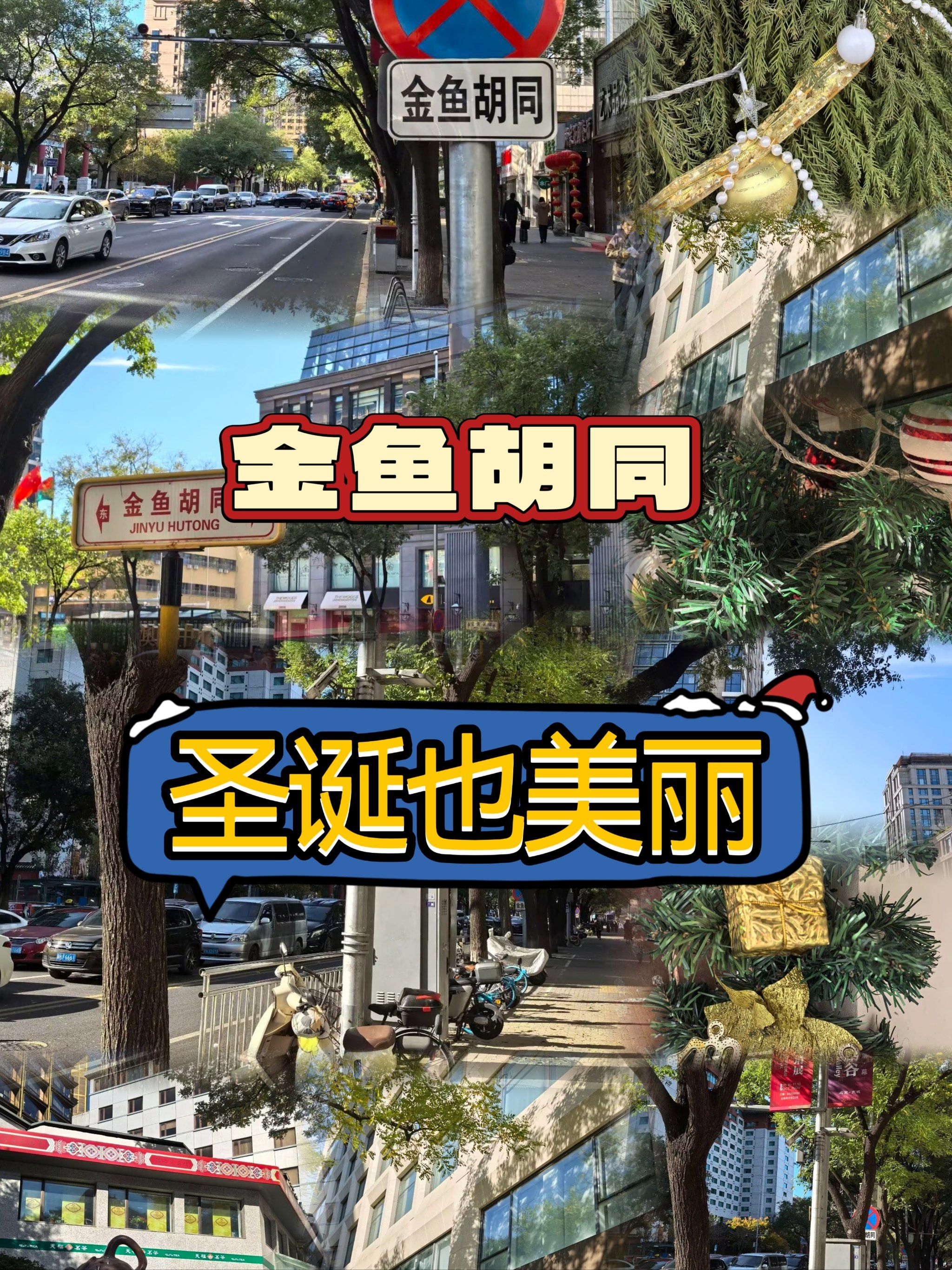 金鱼胡同,超大圣诞树等你来拍照