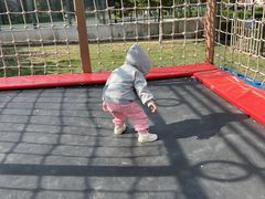 -廊坊固安福朋喜来登酒店