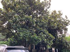 -上海安亭别墅花园酒店