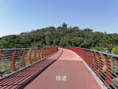 -王借岗森林公园