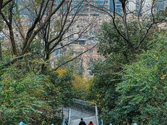 -佛山华盖山公园