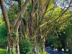 -广州市白云山风景名胜区