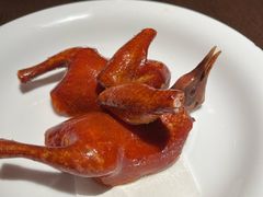 -粥王府 老广传家菜(东关街店)
