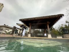 -苏州湾·王焰温泉