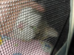 -半岛宠物医院24小时(西派城店)