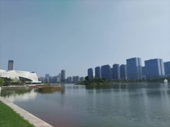 -金沙湖公园