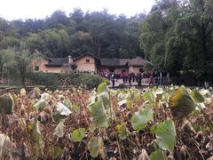 -韶山毛泽东同志故居