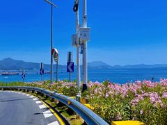 -玫瑰海岸文化旅游度假区