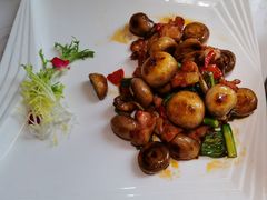 -周三的情书花园餐厅(江北店)
