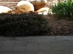 -白云中餐厅·粤菜·亚龙湾喜来登度假酒店