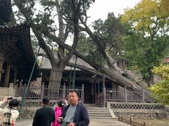 -晋祠公园