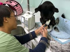 -达爱动物医院·犬猫分区·CT·复杂眼科(远洋山水分院)