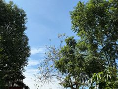 -陈胖子鱼庄(黄辣丁新津店)