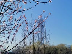 -奥林匹克森林公园南门-停车场