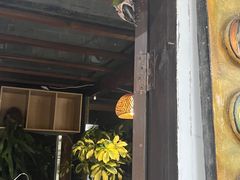 -吉丁鸟咖·异宠·寄养