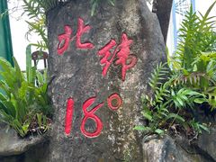-呀诺达热带雨林
