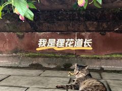 -青羊宫